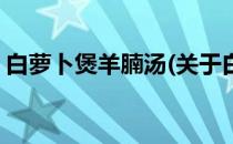 白萝卜煲羊腩汤(关于白萝卜煲羊腩汤的简介)