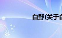 白野(关于白野的简介)