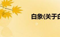 白象(关于白象的简介)