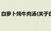 白萝卜炖牛肉汤(关于白萝卜炖牛肉汤的简介)