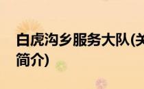 白虎沟乡服务大队(关于白虎沟乡服务大队的简介)