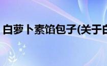 白萝卜素馅包子(关于白萝卜素馅包子的简介)