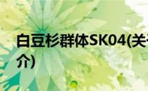 白豆杉群体SK04(关于白豆杉群体SK04的简介)