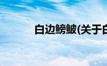 白边鳑鲏(关于白边鳑鲏的简介)