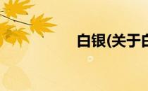白银(关于白银的简介)