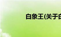 白象王(关于白象王的简介)