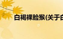 白褐裸脸猴(关于白褐裸脸猴的简介)