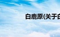 白鹿原(关于白鹿原的简介)