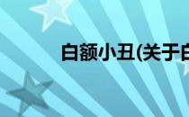 白额小丑(关于白额小丑的简介)