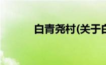 白青尧村(关于白青尧村的简介)
