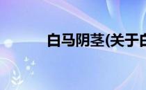 白马阴茎(关于白马阴茎的简介)