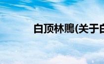 白顶林鵙(关于白顶林鵙的简介)