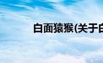 白面猿猴(关于白面猿猴的简介)