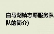 白马湖镇志愿服务队(关于白马湖镇志愿服务队的简介)