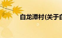 白龙潭村(关于白龙潭村的简介)