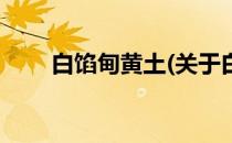 白馅甸黄土(关于白馅甸黄土的简介)