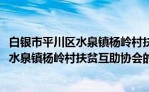 白银市平川区水泉镇杨岭村扶贫互助协会(关于白银市平川区水泉镇杨岭村扶贫互助协会的简介)