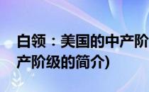 白领：美国的中产阶级(关于白领：美国的中产阶级的简介)
