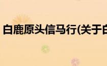 白鹿原头信马行(关于白鹿原头信马行的简介)