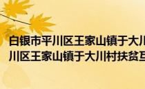 白银市平川区王家山镇于大川村扶贫互助协会(关于白银市平川区王家山镇于大川村扶贫互助协会的简介)