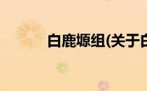 白鹿塬组(关于白鹿塬组的简介)