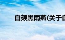 白颏黑雨燕(关于白颏黑雨燕的简介)