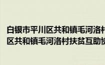 白银市平川区共和镇毛河洛村扶贫互助协会(关于白银市平川区共和镇毛河洛村扶贫互助协会的简介)