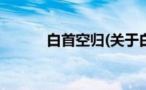 白首空归(关于白首空归的简介)