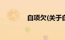 白项欠(关于白项欠的简介)