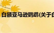 白额亚马逊鹦鹉(关于白额亚马逊鹦鹉的简介)