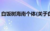 白饭树海南个体(关于白饭树海南个体的简介)