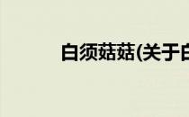 白须菇菇(关于白须菇菇的简介)