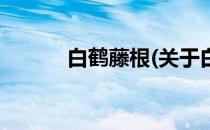 白鹤藤根(关于白鹤藤根的简介)