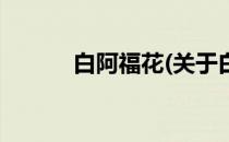 白阿福花(关于白阿福花的简介)