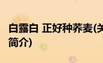 白露白 正好种荞麦(关于白露白 正好种荞麦的简介)