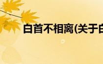 白首不相离(关于白首不相离的简介)