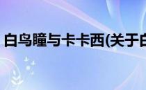白鸟瞳与卡卡西(关于白鸟瞳与卡卡西的简介)
