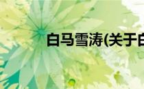 白马雪涛(关于白马雪涛的简介)