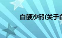 白额沙鸻(关于白额沙鸻的简介)