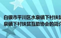 白银市平川区水泉镇下村扶贫互助协会(关于白银市平川区水泉镇下村扶贫互助协会的简介)