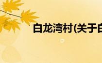 白龙湾村(关于白龙湾村的简介)