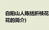 白阳山人陈括折枝花(关于白阳山人陈括折枝花的简介)