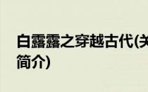 白露露之穿越古代(关于白露露之穿越古代的简介)