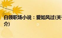 白领职场小说：爱如风过(关于白领职场小说：爱如风过的简介)