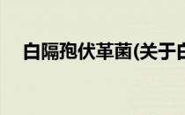 白隔孢伏革菌(关于白隔孢伏革菌的简介)