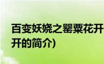 百变妖娆之罂粟花开(关于百变妖娆之罂粟花开的简介)