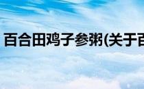 百合田鸡子参粥(关于百合田鸡子参粥的简介)