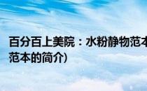百分百上美院：水粉静物范本(关于百分百上美院：水粉静物范本的简介)