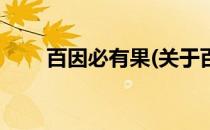百因必有果(关于百因必有果的简介)