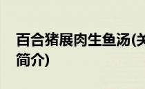 百合猪展肉生鱼汤(关于百合猪展肉生鱼汤的简介)